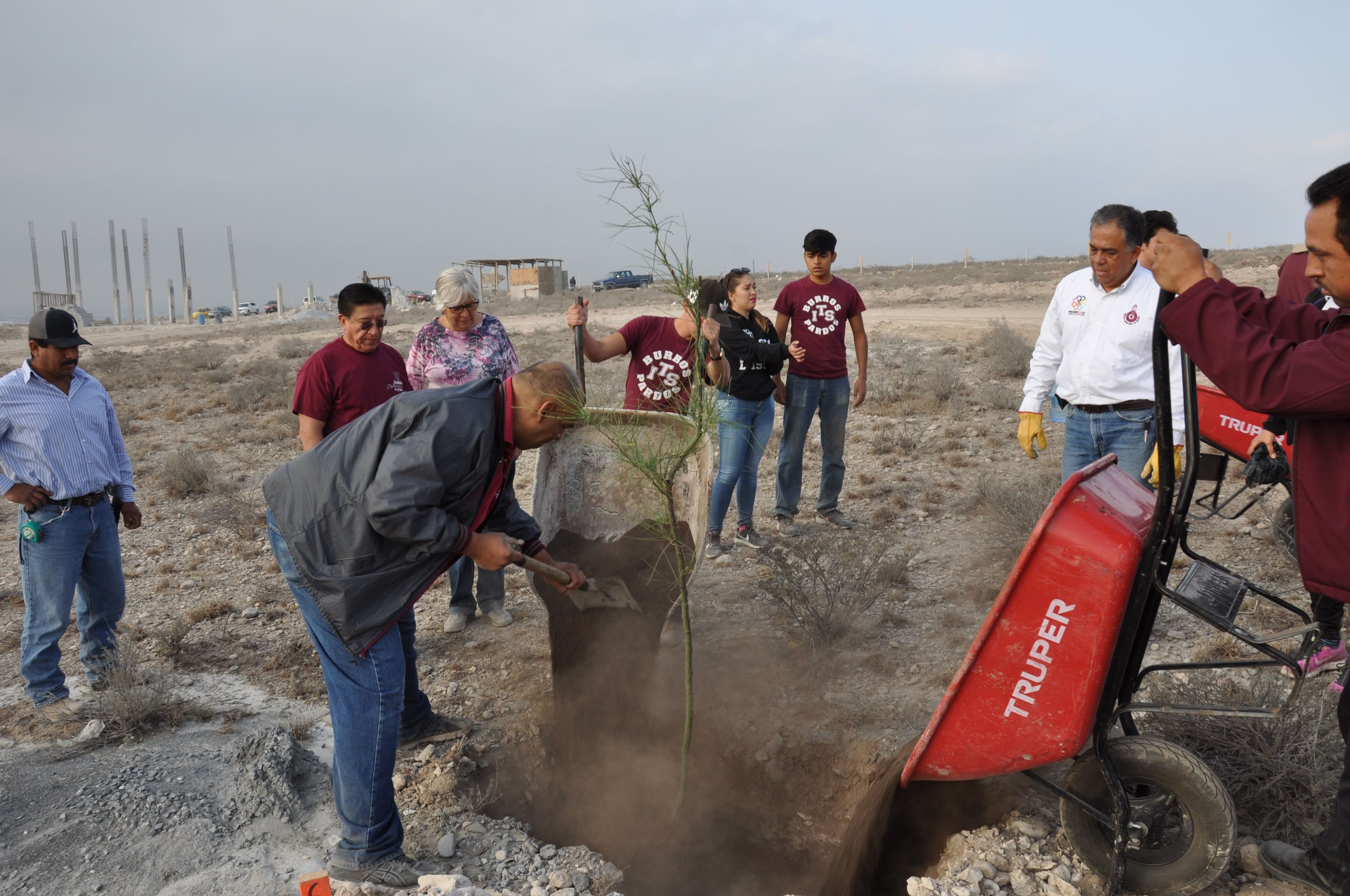 Imagen de Forestación CEVIDE