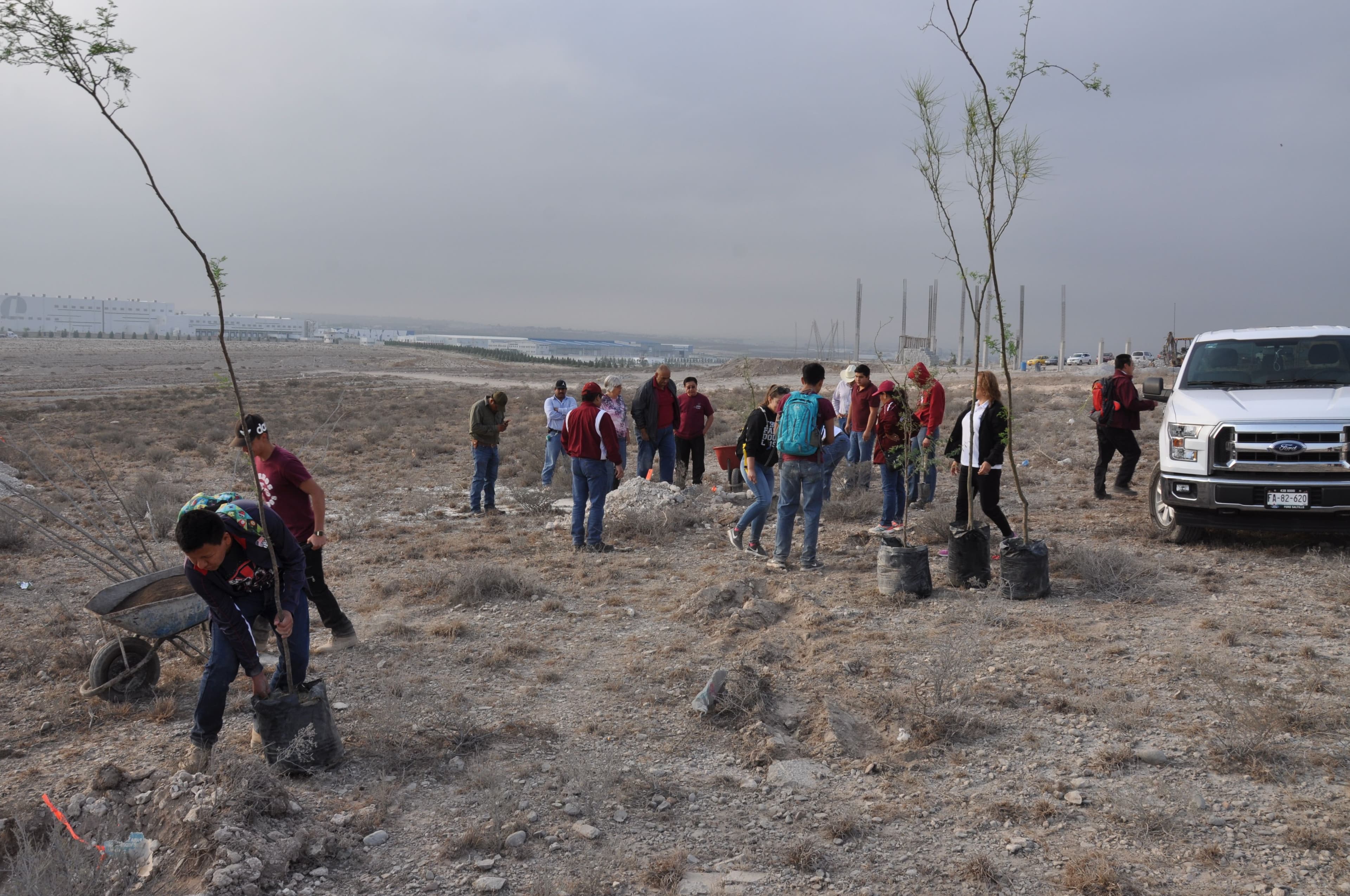 Imagen de Forestación CEVIDE