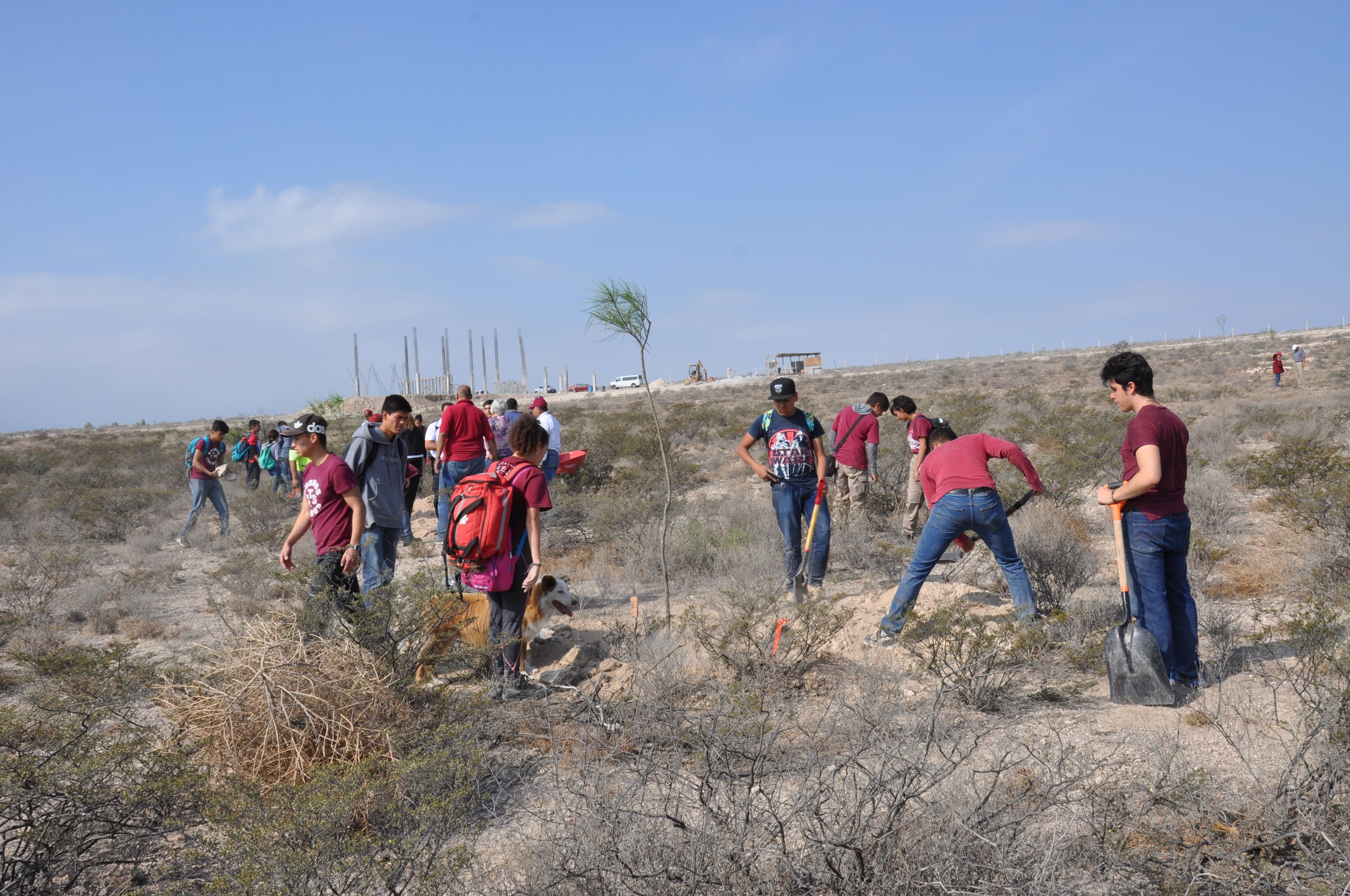 Imagen de Forestación CEVIDE