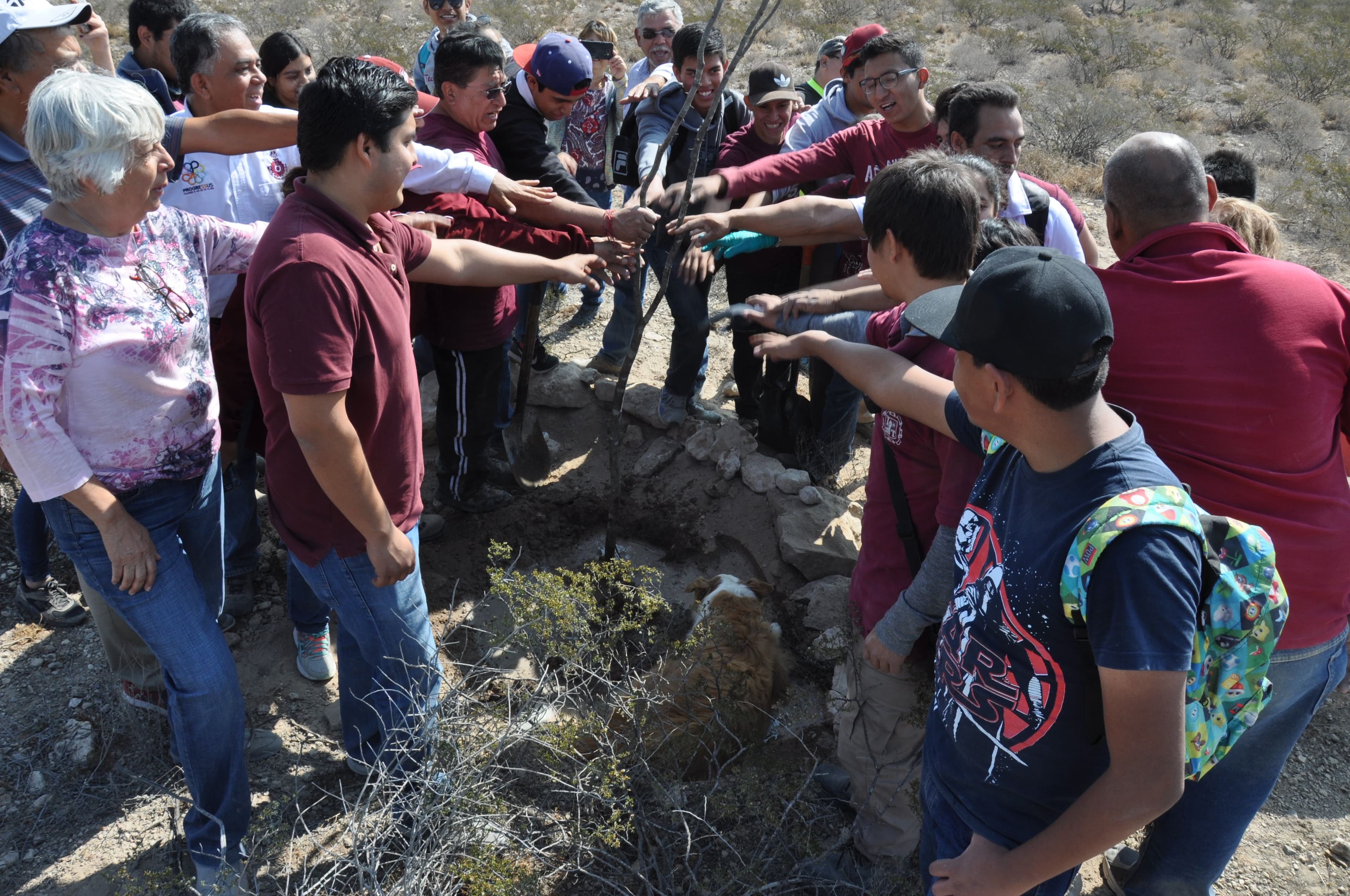 Imagen de Forestación CEVIDE