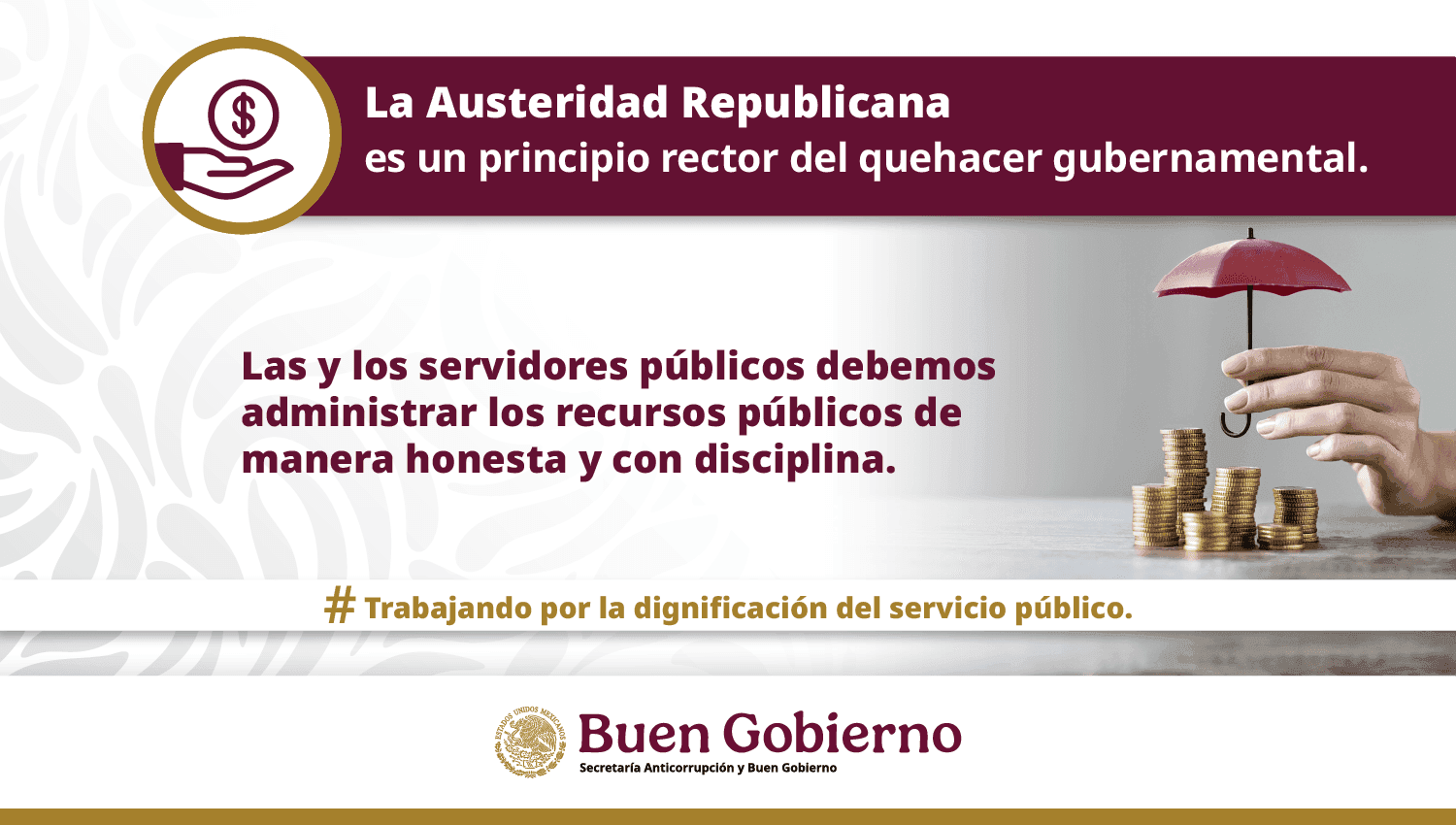 Imagen 12
