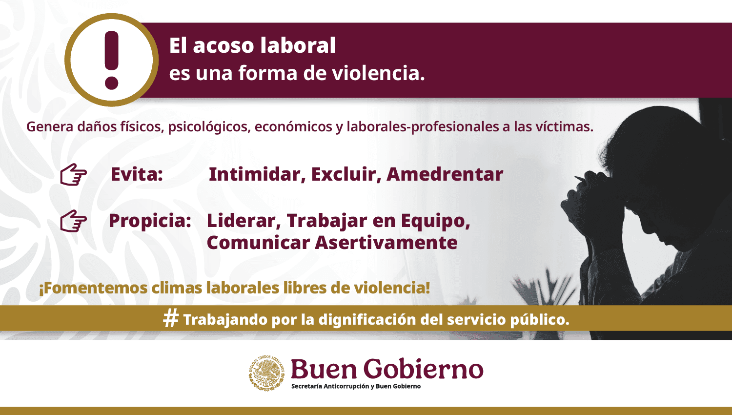 Imagen 11