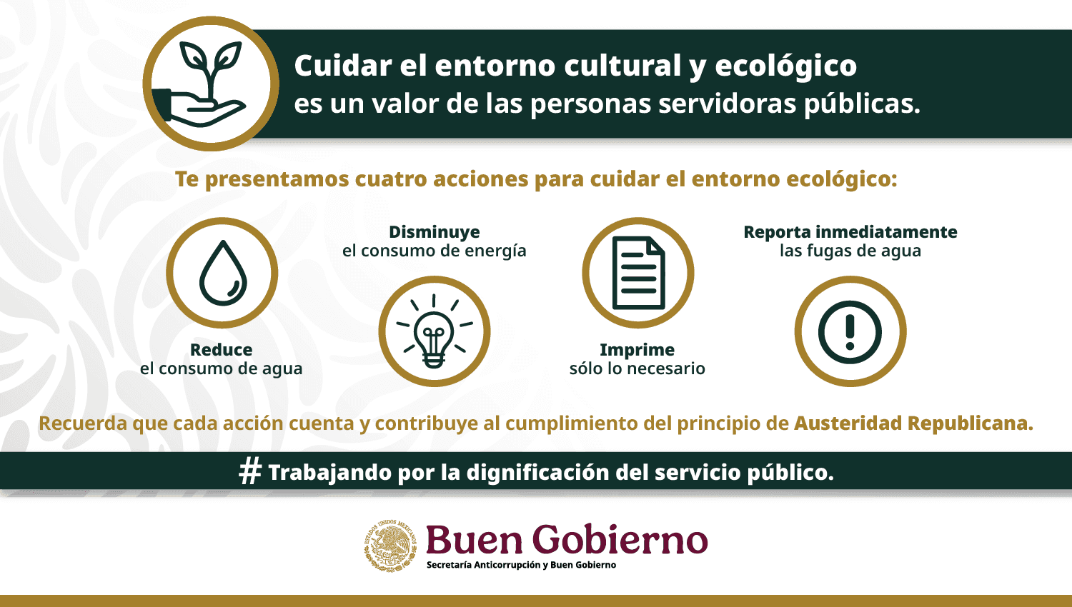 Imagen 8