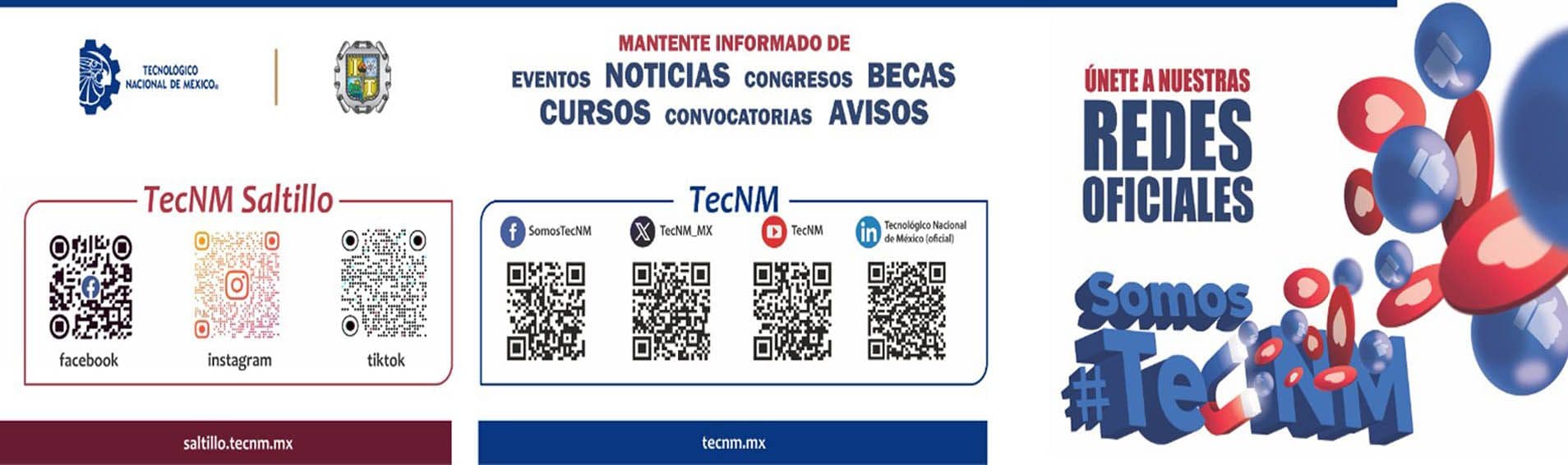 Imagen 12