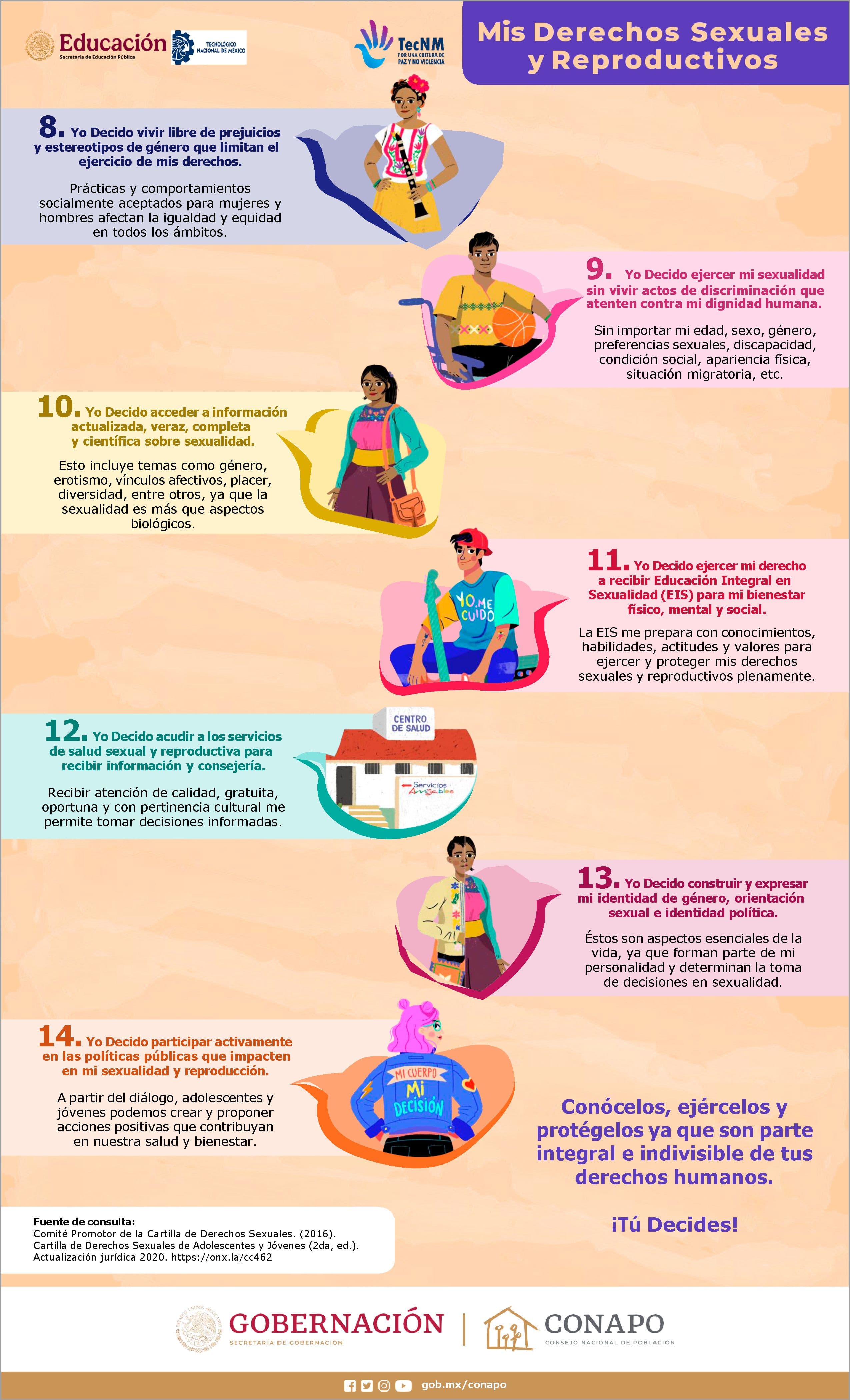 Imagen 5